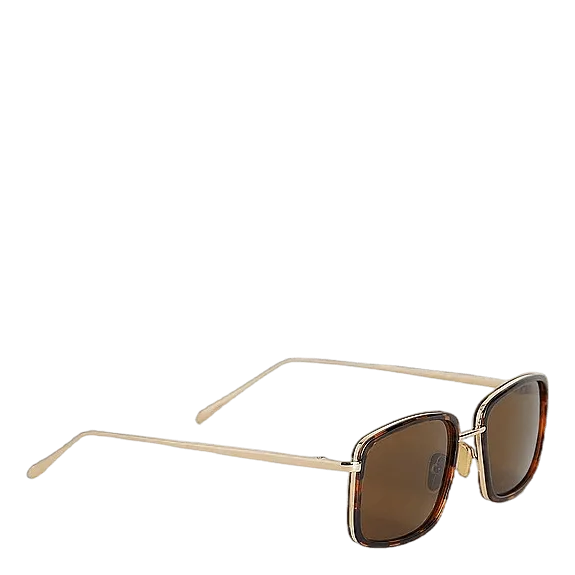 Aldo Demi Tortoise