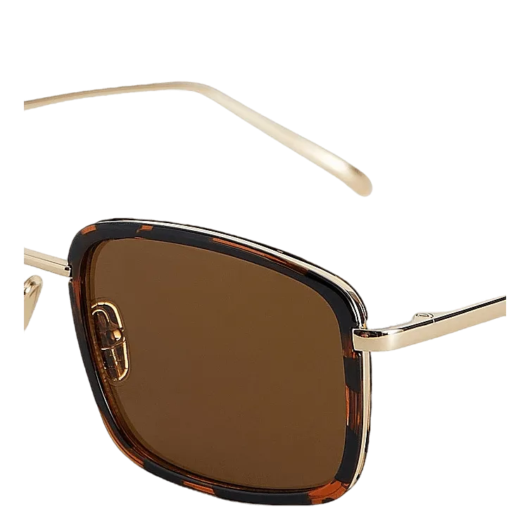 Aldo Demi Tortoise